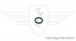 O-ring